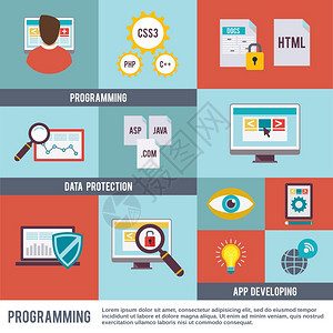 程序员平图标与编程数据保护应用程序开发孤立矢量插图图片