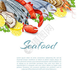 海鲜产品背景与鲑鱼虾蟹贝类软体动物矢量插图图片