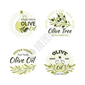 天然机橄榄油标志树枝孤立矢量插图橄榄套图片
