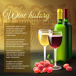 葡萄酒背景与现实瓶眼镜葡萄枝矢量插图葡萄酒的现实背景图片