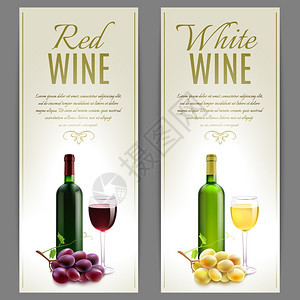 红白酒纸横幅垂直璃瓶葡萄孤立矢量插图葡萄酒横幅套图片