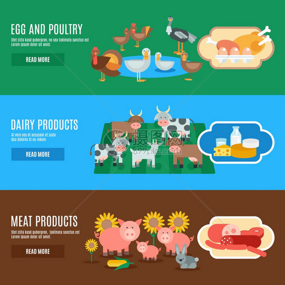 家畜水平横幅蛋肉乳制品元素分离矢量插图家畜横幅图片
