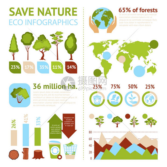 保存自然生态信息集与森林符号图表矢量插图森林信息图集图片