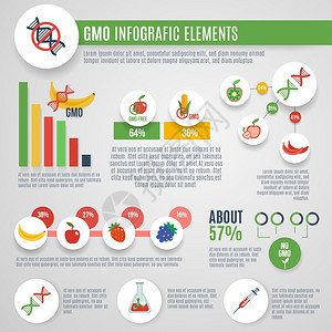 基因信息集纳米技术实验室食品元素图表矢量插图的GMO信息集图片