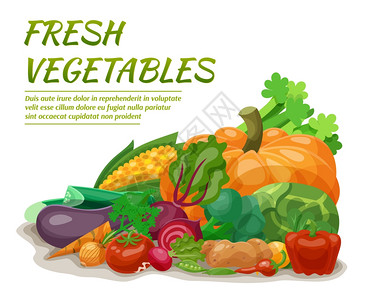 新鲜蔬菜与甜菜洋葱玉米胡椒矢量插图新鲜蔬菜插图图片