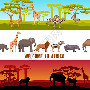 水平非洲动物横幅水平彩色非洲动物与树木横幅矢量插图图片