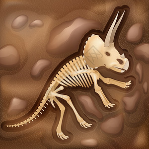 龙骨骼化石插图图片重要的科学考古发掘场景发现图片龙骨骼阴影棕色抽象矢量插图图片