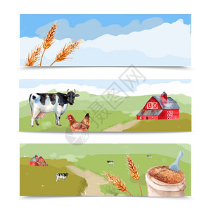 农场横幅农场田野水彩水平横幅奶牛,小麦房子矢量插图图片