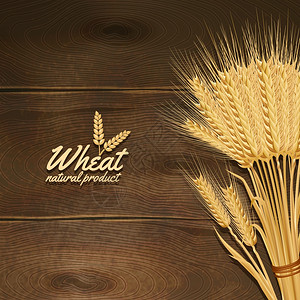 小麦胚芽粉金色麦穗木桌背景矢量插图木制桌子上的小麦插画