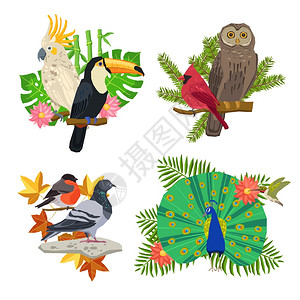 热带森林鸟类树枝上用花矢量插图鸟花集图片