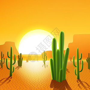 墨西哥沙漠中的仙人掌植物,背景矢量插图上日出的太阳沙漠中的仙人掌植物图片