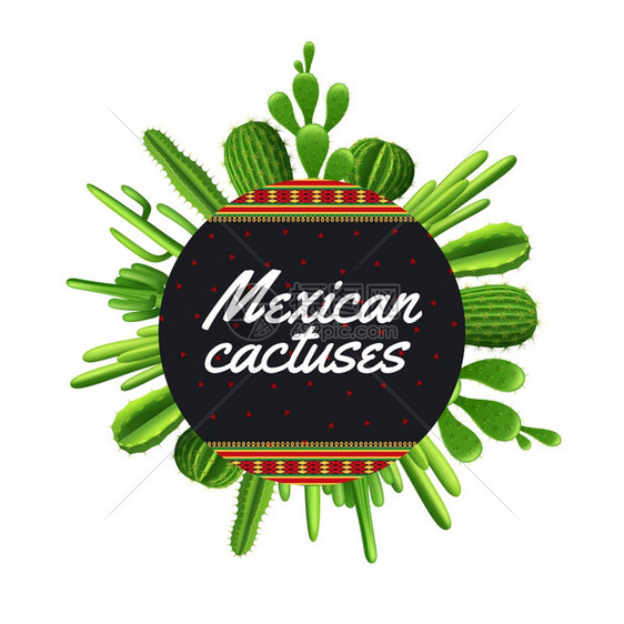 同类型的墨西哥仙人掌植物圆形矢量插图墨西哥仙人掌插图图片