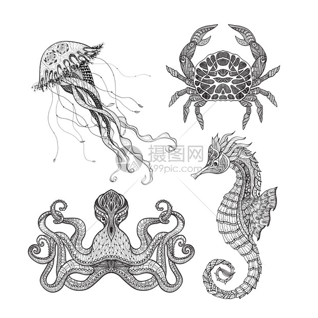 海洋涂鸦套装海马章鱼水母螃蟹涂鸦图标黑线抽象矢量孤立插图图片