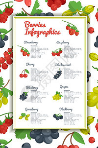 浆果信息摄影集浆果信息集与草莓蓝莓樱桃醋栗平矢量插图图片