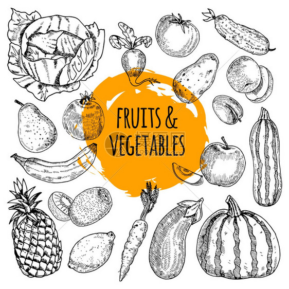 健康食品收集手画涂鸦健康食品象形图排列水果蔬菜收集手绘涂鸦风格抽象矢量插图图片