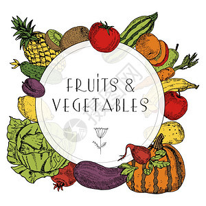 健康食品水果蔬菜框架装饰彩色框架的健康机水果蔬菜排列圆圈背景横幅抽象矢量插图图片