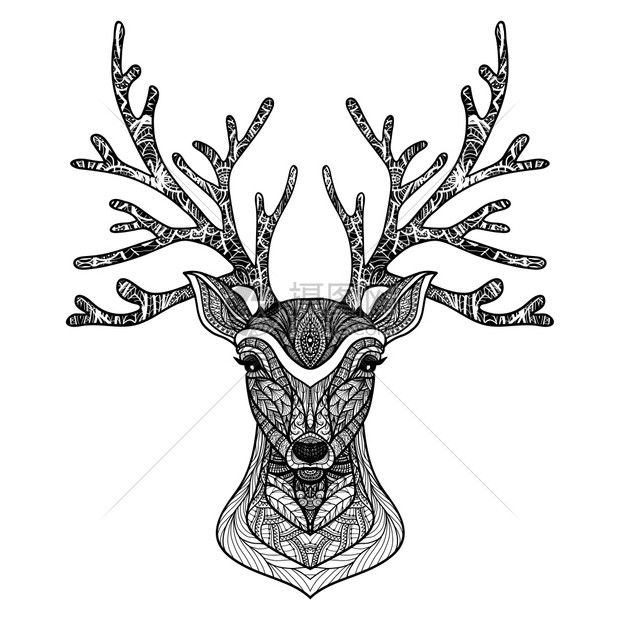 野生鹿手画肖像与装饰装饰矢量插图装饰鹿像