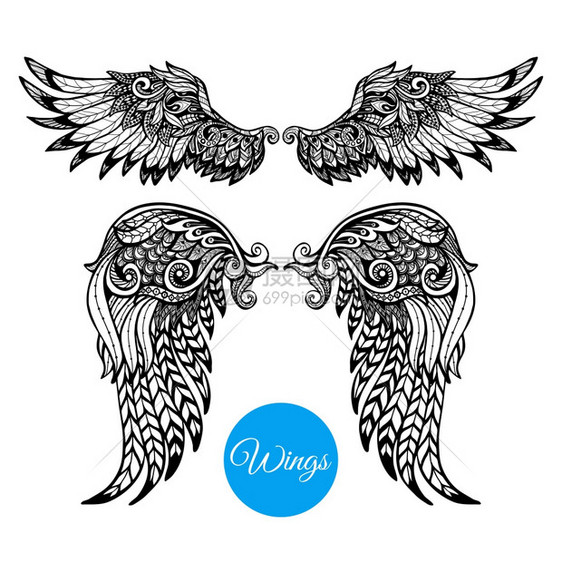 装饰翅膀与手绘观赏羽毛孤立矢量插图装饰翅膀套装图片