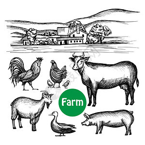 手绘农场套带村庄房屋牲畜的孤立矢量插图手绘农场套装图片