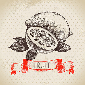 手绘草图水果柠檬生态食品背景矢量插图图片