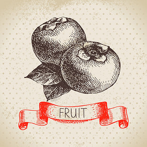 手绘水果柿子素描生态食品背景矢量插图x9图片