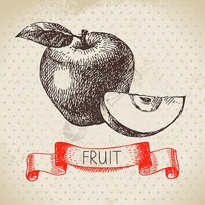 手绘草图水果苹果生态食品背景矢量插图图片