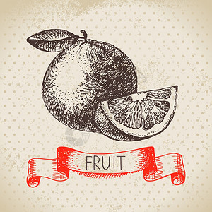 手绘草图水果橙色生态食品背景矢量插图图片