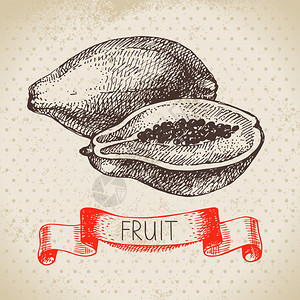 手绘素描水果木瓜生态食品背景矢量插图图片