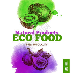 生态食品菜单背景水彩画手绘素描水果矢量插图图片