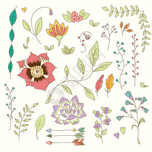 手绘复古花卉花卉元素,婚礼,情人节,生日假日,矢量插图背景图片