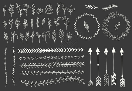 手绘复古箭头,羽毛,隔板花卉元素,矢量插图图片