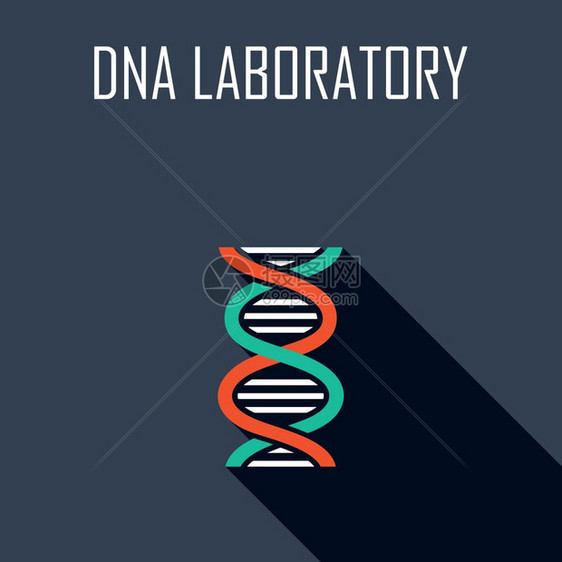DNA实验室平图标矢量插图图片