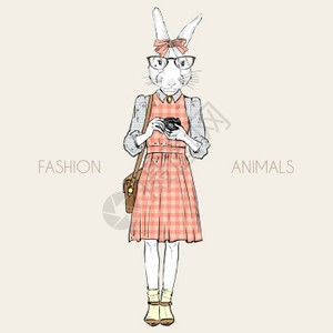 时尚插图可爱的兔子时髦与光电相机背景图片