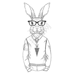 兔子肖像插画