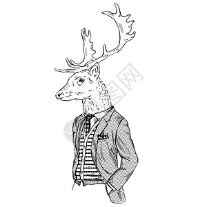 套头枕以复古风格装扮的鹿的拟人化插画