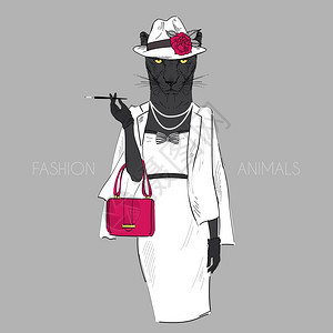 拟人化黑豹女孩打扮成优雅风格的时尚插图图片