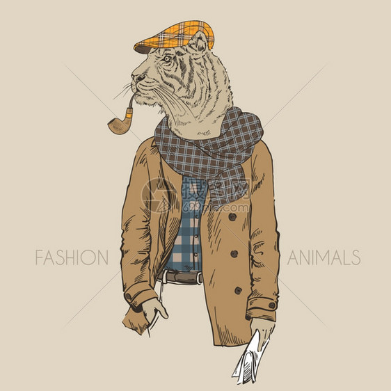拟人化穿着战衣的老虎的时尚插图图片
