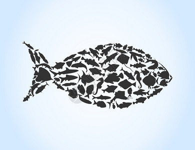 fish8小鱼中收集的鱼矢量插图图片