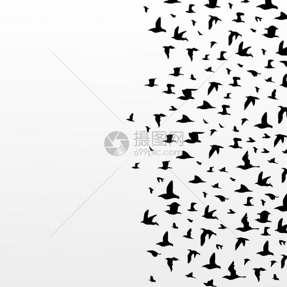 鸟儿的飞行鸟的大飞行矢量插图图片