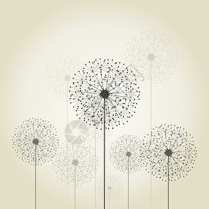 灰色背景上的花朵蒲公英矢量插图图片