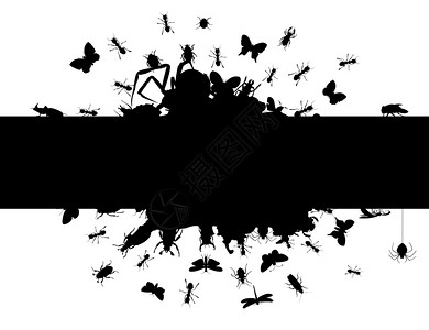 蜘蛛也玩花粉昆虫的框架黑色的框架昆虫其中爬行矢量插图插画
