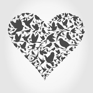 鸟中收集的灰色心脏矢量插图图片
