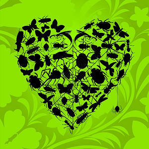 昆虫的心脏来自绿色背景上昆虫的心脏矢量插图图片