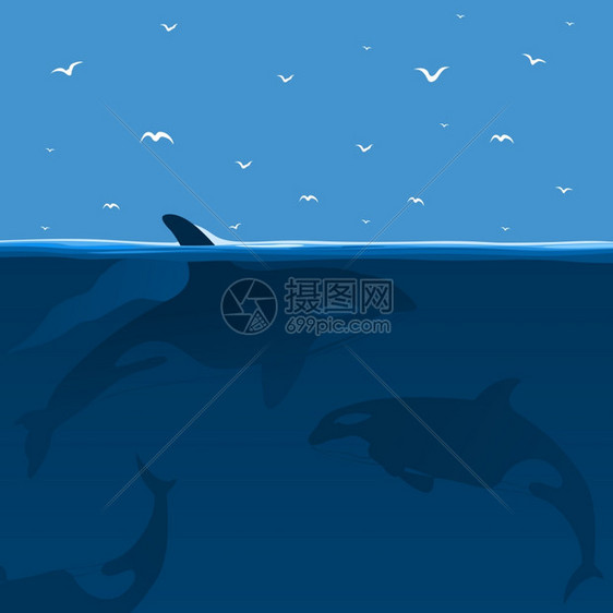 鲸鱼海里捕猎矢量插图图片