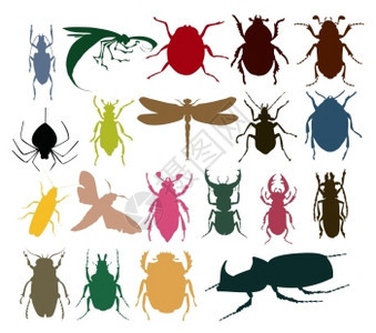 昆虫图标同颜色的昆虫的剪影矢量插图图片