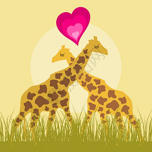 喜欢长颈鹿两只长颈鹿彼此相爱矢量插图图片