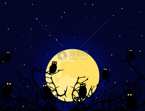 猫头鹰猫头鹰晚上坐树上矢量插图图片