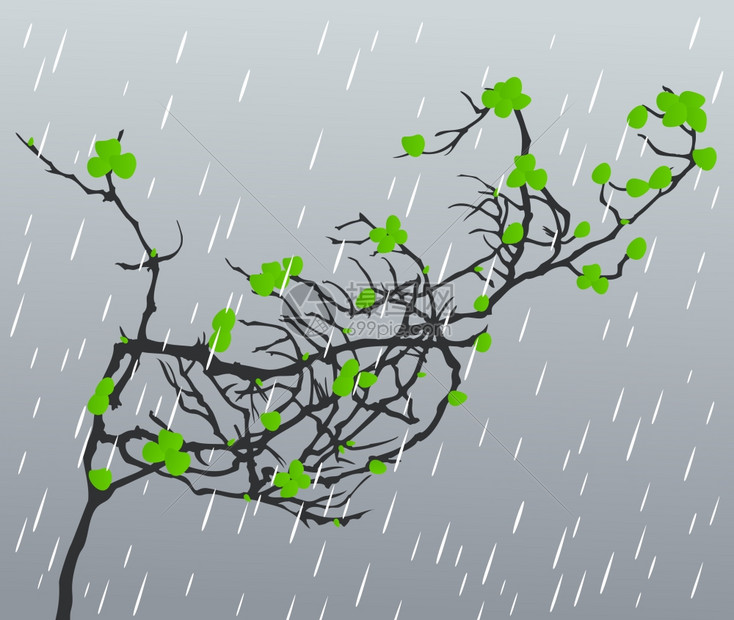 雨叶子的树枝抵着雨矢量插图插画图片下载-正版图片300944470-摄图网