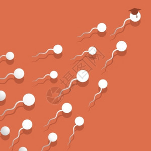 精子精子飞行达目的矢量插图图片