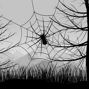 蜘蛛蜘蛛网夜空上矢量插图图片